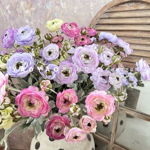 ������ĵ����Ʒ�|ëݢ������ĵ��  �͏d��������Ī�λ��@�L¶ɏ��