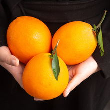 ���Ě�� ���r��Ȼ����Fժ��֭�ЋD�������r�a��ֱ�l��������