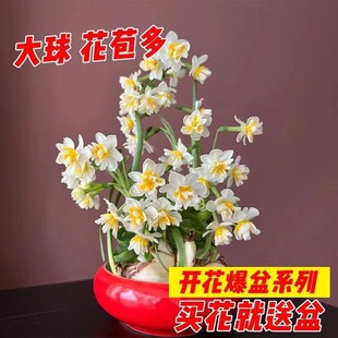 ˮ�ɻ��N�������ذ�󻨝���ˮ���҃��̨�����ļ��������ˮ��