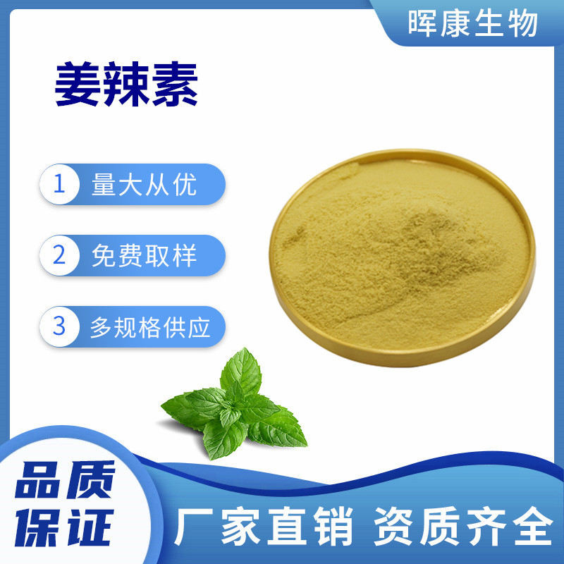 姜辣素1% 生姜提取物 干姜提取物 量大从优 现货供应