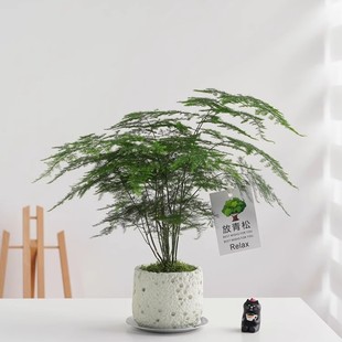 �������ԃ����՚��҃�����͏d�ļ������k���Ҕ[�����B���ܾGֲ��