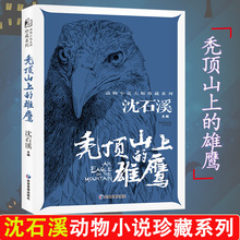 动物小说大师珍藏系列-秃顶山上的雄鹰 沈石溪著 应急管理出版cs