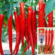 �L�����N���������������N������������l���L�������ļ��߲���