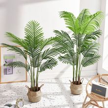 ɢβGֲWinsLֲپGֲ҃b٘