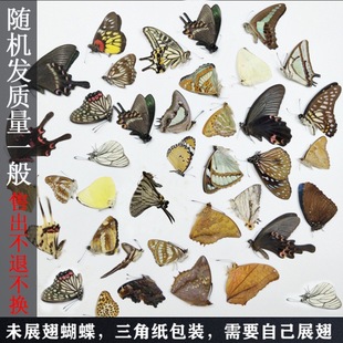 �����˱�������˱�δչ��Ǵ����b���ս̾��µ�ԭ��δչ�����