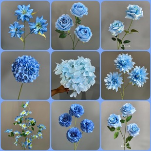�{ɫ��c���滨���ܵ�피ٻ���Y�b����Y����Ż������廨��