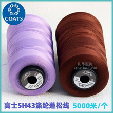 Ӣ����ʿ�L�z��]���ɾ��\�����e���Ҽ����׿p�x��5h43���l