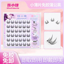 免胶小薄片蒲公英假睫毛分段式假毛日常自然妆容妈生感眼睫毛批发