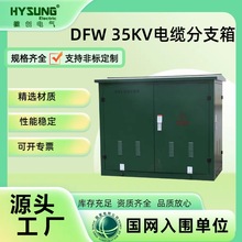 �ɶ���35KV�߉��Wʽ�~��DFW��|��֧�䎧���x�_�P