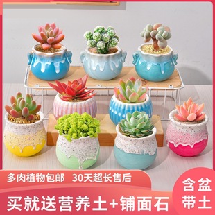 ׃@GֲСԃͯNֲB҃ȼBֲﻨ⎧