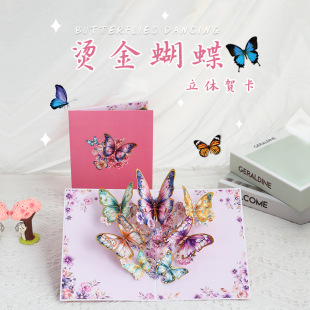 �¿��3D���w�̎����R���۷�C�������������ף�����Կ��羳