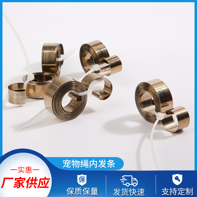 带跳动玩具涡卷弹簧伸缩发条 不锈钢拉簧灯具弹簧宠物绳内发条