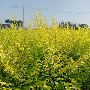 �������l ���~���� ���~���� �ͺ���ľ�� ���~���~���� ���̾G��