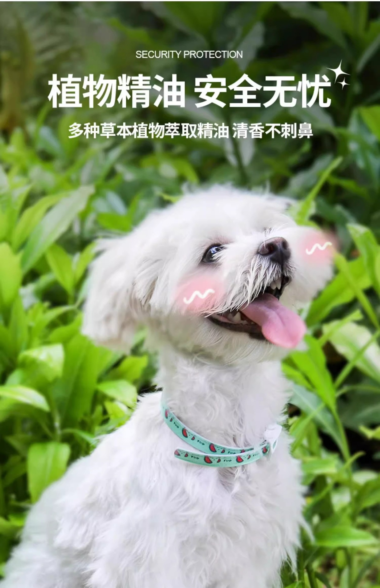 h2uTiviiztSHn2aJjQ1VWrNzOeSfoZxo9Sh2