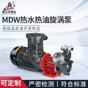 MDW-40HEX Высокотемпературный магнитный насос Магнитный насос Магнитный насос 350 ℃ Масляный насос