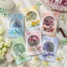 �羳İīPET�N������īֲ��D�bϵ������ֲ�ﻨ���֎��ز��N40��