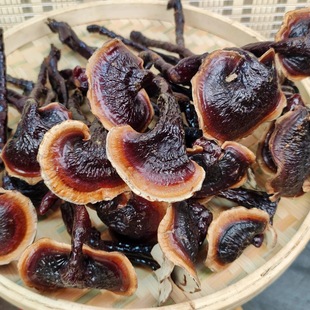 ���`֥��Ʒ��Ͻ�߅���`֥���`֥250�����`֥���l���l