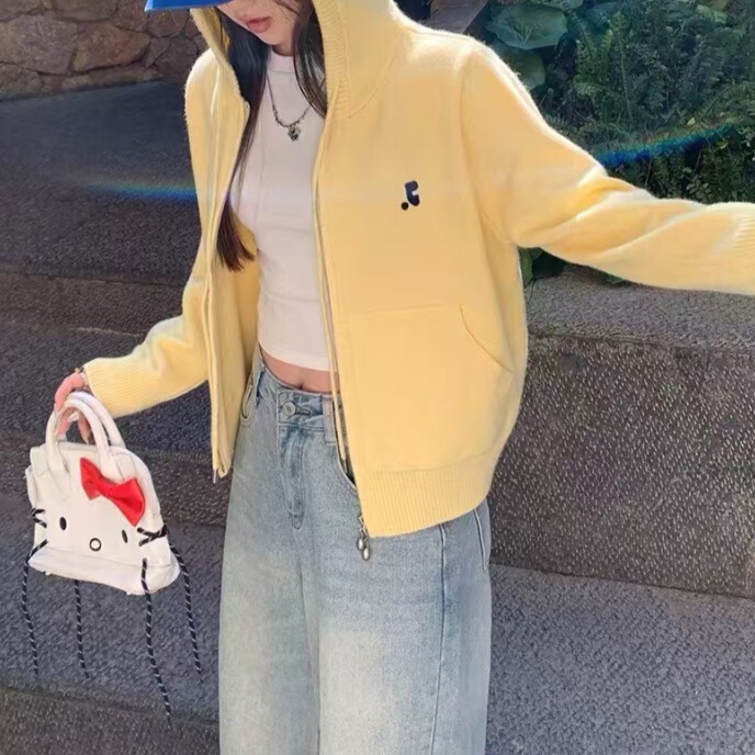 ニットカーディガン 2025 新しいセータージャケット春の女性の初春韓国スタイルの小さな服フード付きトップス女性|undefined