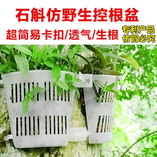 塑料铁皮石斛兰种植仿野生花盆棉绳绑树植板定植育苗控根盆盆景-阿里巴巴