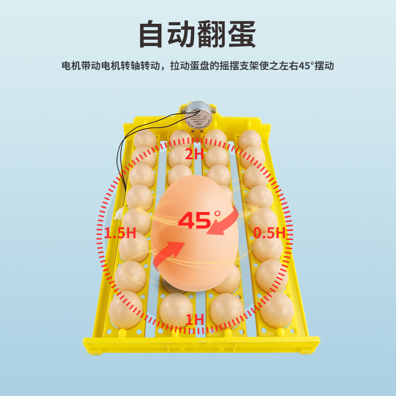 Pequeña incubadora doméstica Placa de huevo 32 unidades con motor de giro de huevo Placa de huevo mini incubadora automática Accesorios