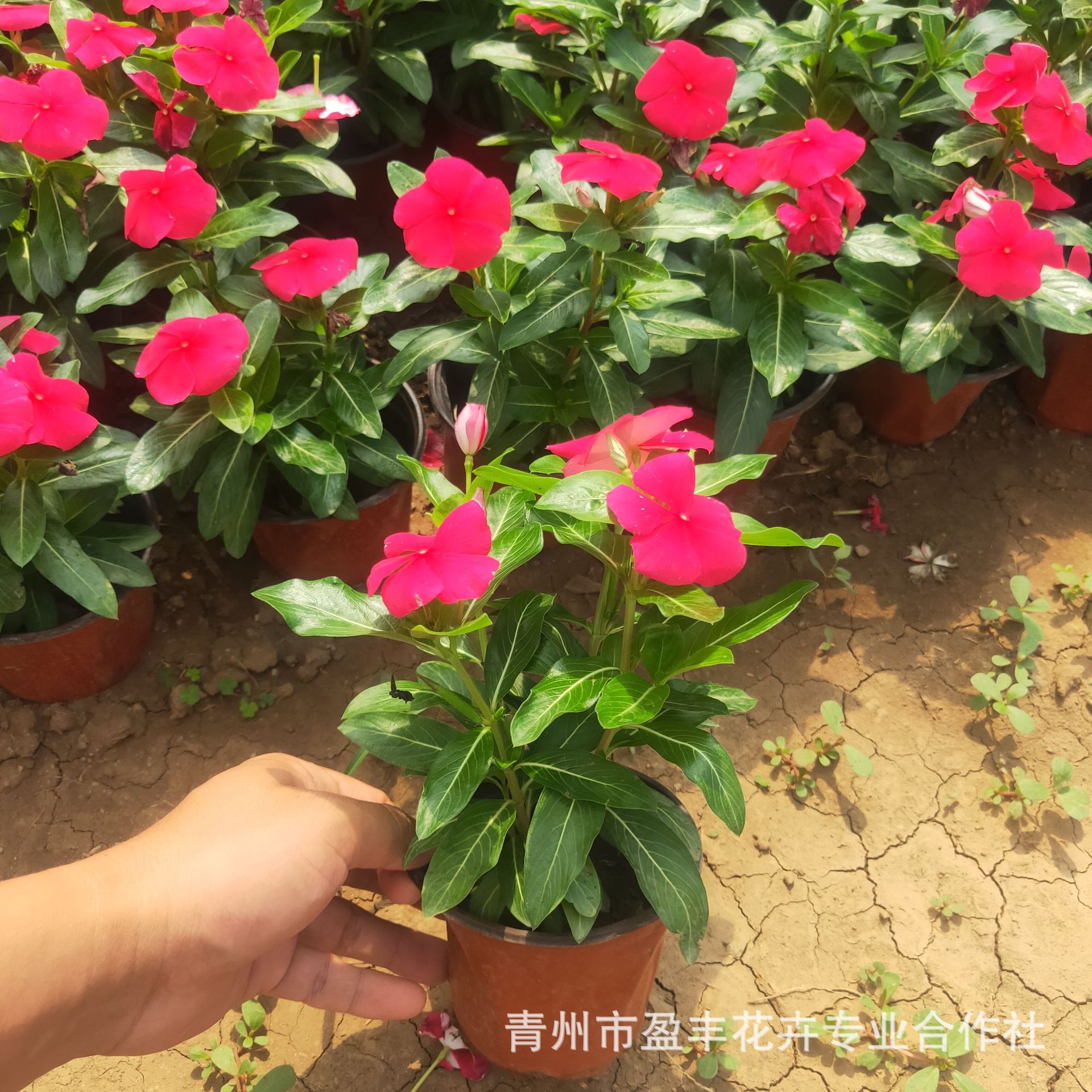 微信图片_20211108090015