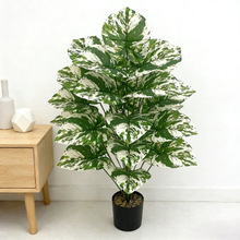 TEMU���R�d�������Gֲ�����~�羳���l�쾰�Ҿӑ����bGɫ����