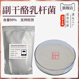 副干酪乳杆菌 100亿cfu 食品级 乳酸菌冻干粉 益生菌粉 现货包邮
