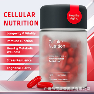 TK����GMP���S�羳��ʯ��Aܛ�z��urolithin a softgel��ʯ��a�z��