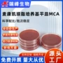 一次性生物无菌90mm培养基