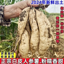�t�����r�r���ԷN��Ƥ�˅��عϰ�����������20�¼t������