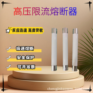 Rn1, Rn2, Rn3-10Kv-20Kv/0.5A-10-100A High Voltage Break Current Limiting Fuse Ceramic Tube