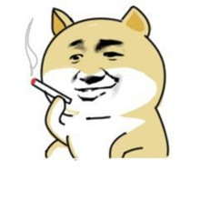 代拍链接，可联系客服增加商品，改价为准