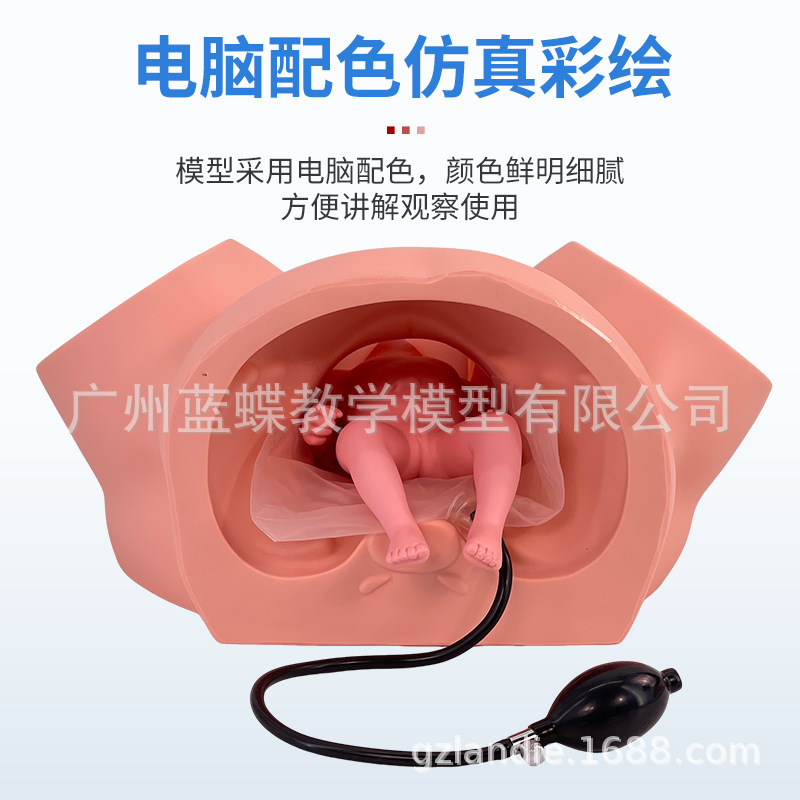 ����ʾ��ģ�� �߼��Ѳ�ʾ��ѵ��ģ�͸������Ѳ����������ѧģ��