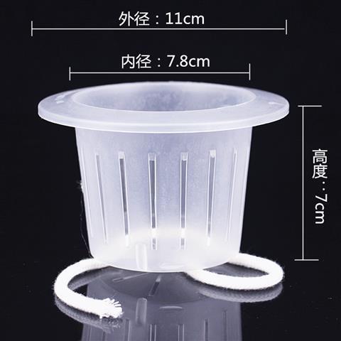 植木鉢植栽バスケット 水耕植物ガラス花瓶 グリーンソーン植栽バスケット 無土壌栽培花 浅型根固定剤|undefined