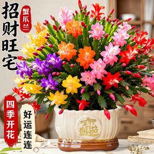 зצ�m���Ԏ��ذ껨����ؔ�҃���լ�����辰�Gֲ���B�̨����ֲ��