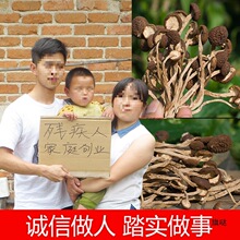 新货 茶树菇干货不开伞江西广昌产500g炖汤类蘑菇茶薪菇干锅