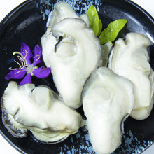 �����L����̫ƽ�������ʳ����500g�r��ӹ���Ϡ�Ӵ�ĵϠ�S��ֱ�N