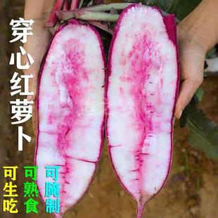 ���ļt�}���N�Ӵ����ﶬ�}���N���ļ���಻�׿��ļt���}����ԭ�b