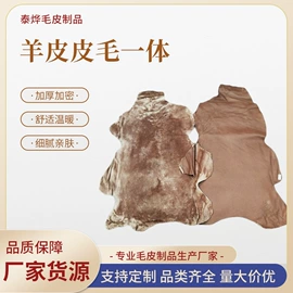 羊皮革;鞋垫/增高垫;汽车清洁工具