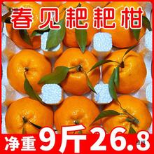 四川春见耙耙柑粑粑柑10斤丑桔橘水果新鲜当季整箱橘子杷杷柑