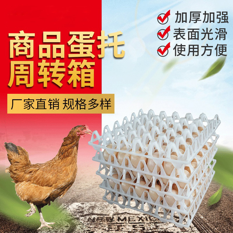 龙龙塑业厂家批发 塑料鸡蛋托30枚包装蛋盘转运鸡蛋塑料托盘装置