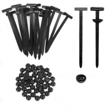 �๦���������۹̶��l�әC�װ��~�Ӱ���r������������w��