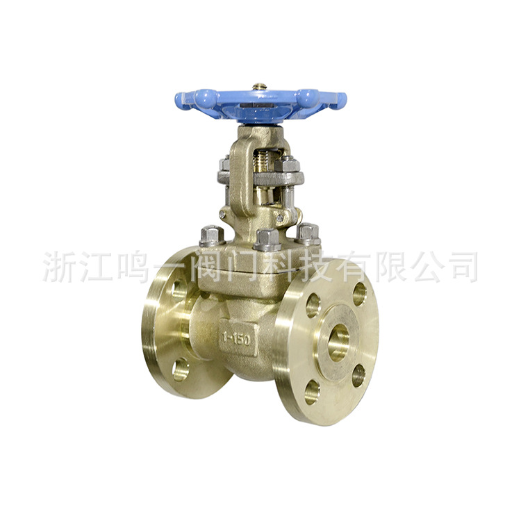 锡青铜B62铝青铜C95500/C95800整体法兰一体式连体硬密封法兰闸阀