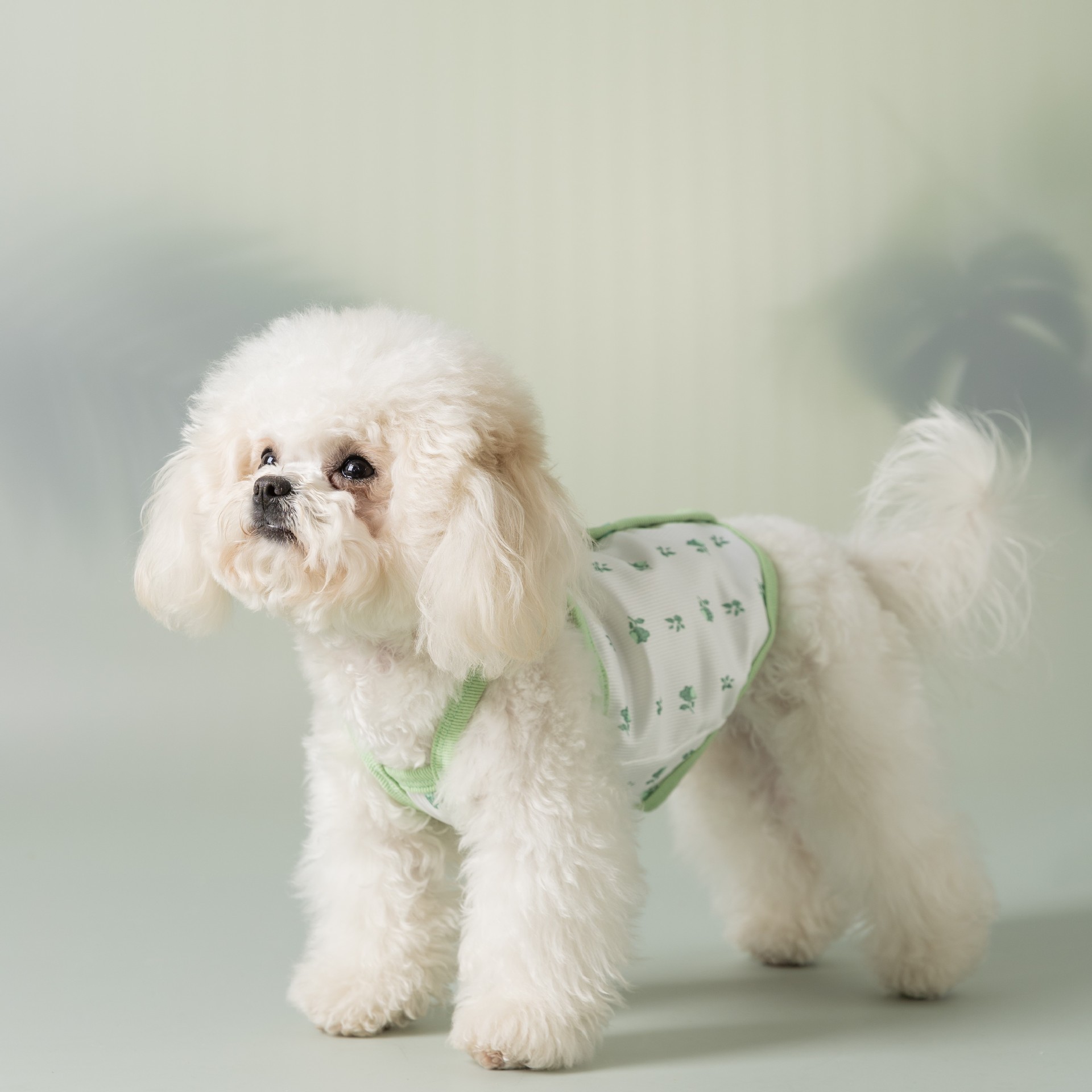 Adorable chaleco de perro de verano delgado mascota ropa de perro impresa pequeña flor de la falda de la tira simple Teddy Bear