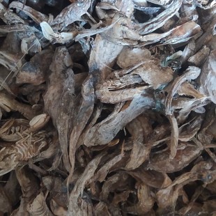 �S�ҹ�����~�ɿ����~��ϕ��С�~��С�s�~�~���~�ɷ���ϼ�