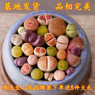 ���_���{20�w�b}�ʹ�Y����ʯ��PP������ֲ���Ϸǻ�ϰl؛