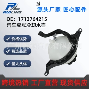 17138614293 17137619189 Suitable for Bmw N20 Engine Auxiliary Water Tank Expansion Water Tank