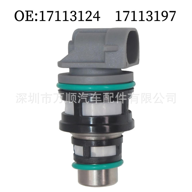 Fuel injector 19244616 is suitable for Chevrolet Buick FJ10045 17113124 17113197