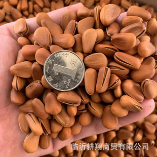 �|��������ը����850�w��5KGһ��ʮ���д��팍�w�����l