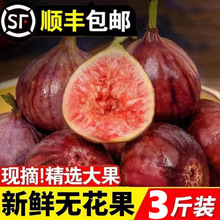 顺丰冷链四川新鲜红皮无花果精选5斤现发当季时令孕妇水果鲜果甜